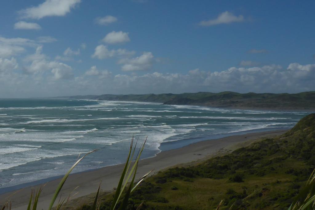 Ocean View Raglan Bed & Breakfast Zewnętrze zdjęcie