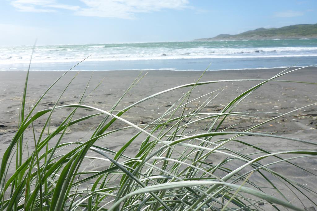 Ocean View Raglan Bed & Breakfast Zewnętrze zdjęcie
